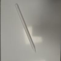 CS1494/2025 WHITE APPLE PEN